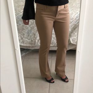 Express Khaki pants